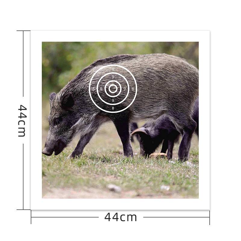 Wild boar target paper